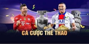 Cá độ thể thao là gì?