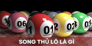 Tìm hiểu khái niệm song thủ lô